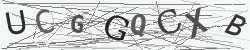 CAPTCHA Image Verification