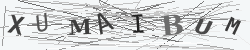 CAPTCHA Image Verification