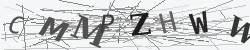 CAPTCHA Image Verification